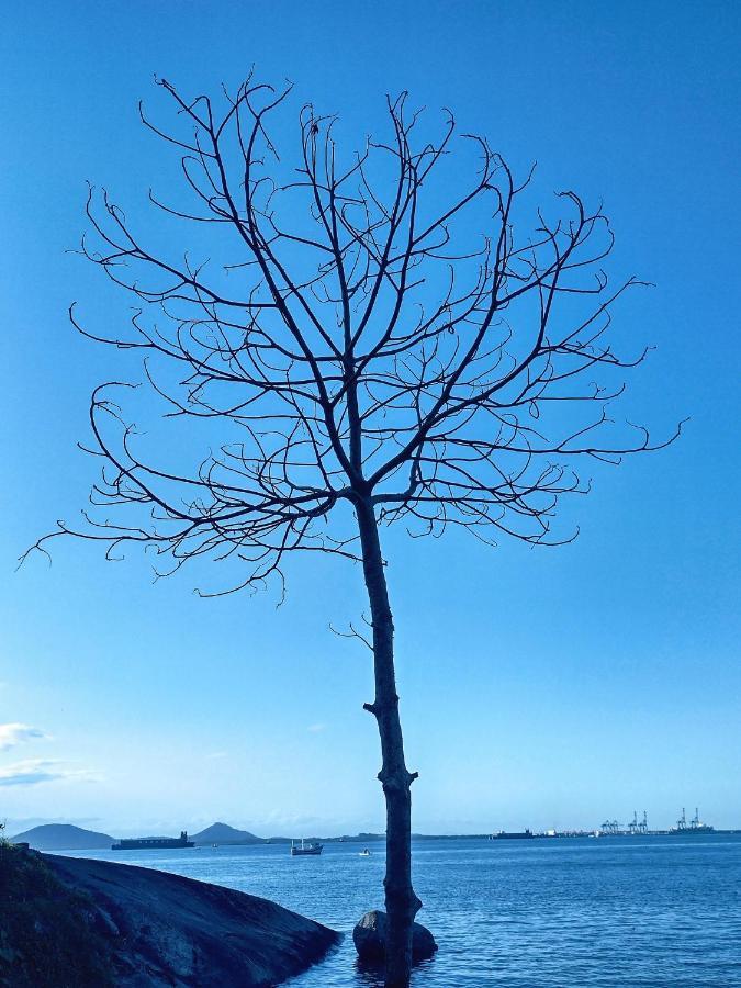 Pousada Pedra Das Tartarugas Sao Francisco do Sul Eksteriør bilde